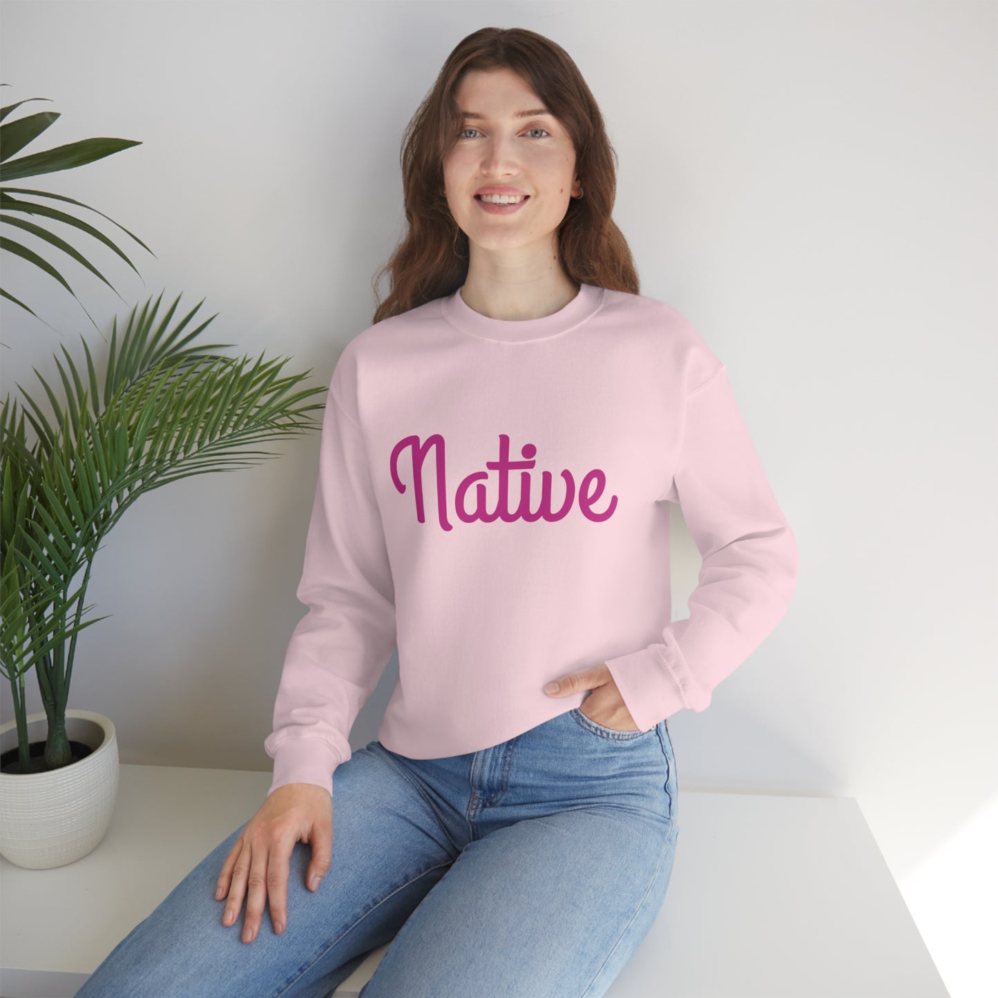 Native Sweatshirt