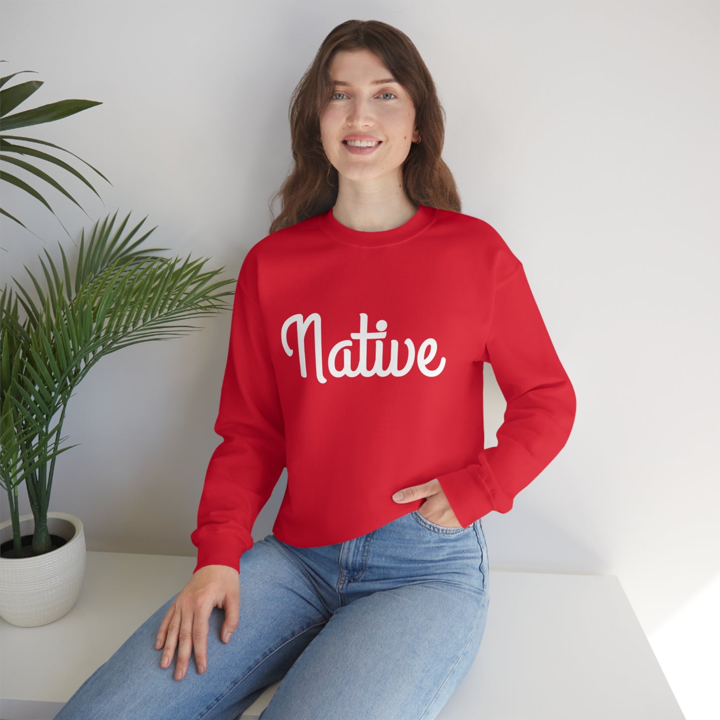 Native Sweatshirt